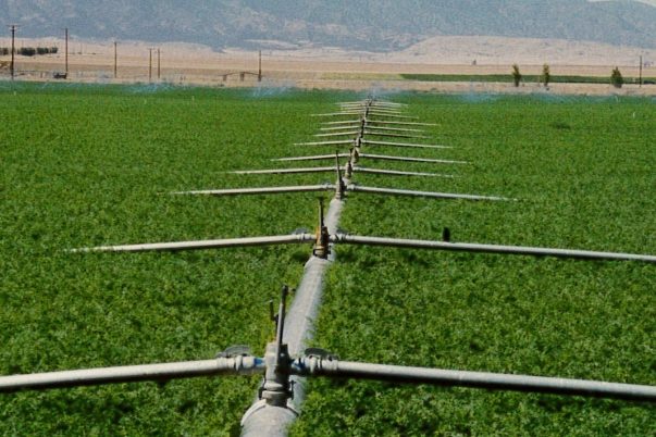 Tuyaux d'irrigation simple – Agro Expertise